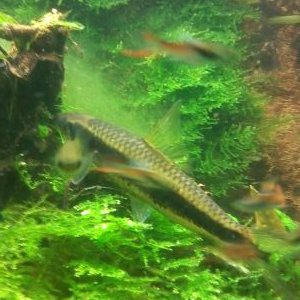 Louis Hubert - Twitter Profile Picture of Louis Hubert (@louisHubert1) on Twitter