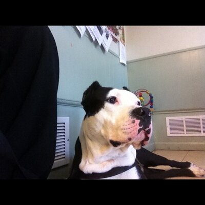 Profile Picture of Robert Correa (@robertcorrea4) on Twitter