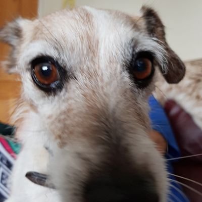 Ken Wilkie - Twitter Profile Picture of Ken Wilkie (@KenWilkie5) on Twitter