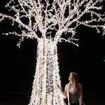 Profile Picture of Shae Knight (@shae_knight_oaac) on Instagram