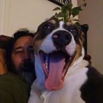 Profile Picture of Joshua Micheal Paduganan (@pangdingadangin) on Instagram