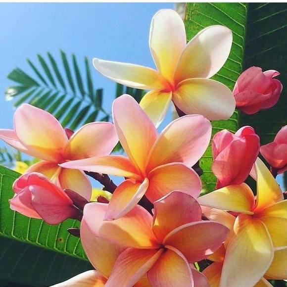 Profile Picture of Rudy Márquez (@dudylinda) on Poshmark