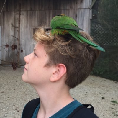 Profile Picture of Zach Sandoval (@zachsandoval03) on Twitter