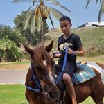 Profile Picture of steven (@steven_dubinski) on Instagram