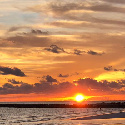 Profile Picture of AM (@AnjaliMotgi) on Twitter