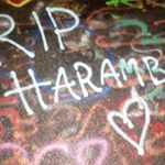 Profile Picture of Michael Stutzman (@michael.stutzman19) on Instagram