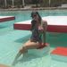 Profile Picture of Julia Arnone (@julia_arnone) on Pinterest