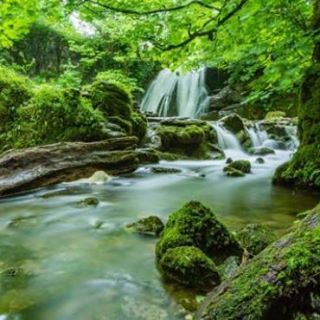 Profile Picture of Walter Leaf (@walter.leaf.37) on Facebook