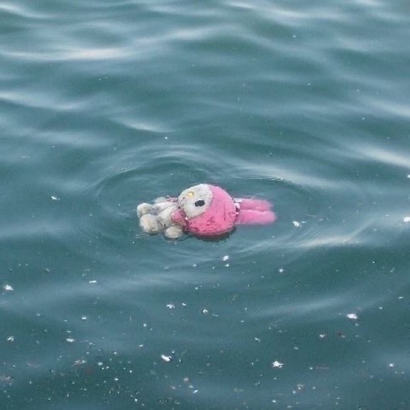 Profile Picture of Rachel Chuong (@wubuwubu) on Poshmark