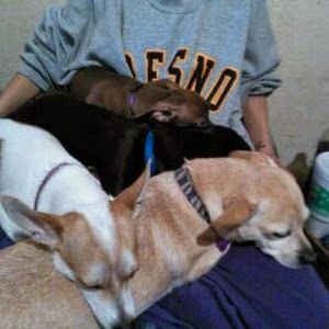 Profile Picture of Sheila Chenoweth (@sheilachenoweth) on Tiktok