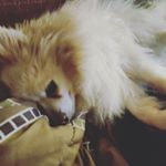 Profile Picture of Chad Kirkmon (@chadkirkmon) on Instagram