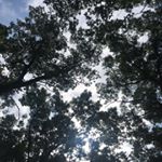 Profile Picture of Joey Quintana (@joequint20.06) on Instagram