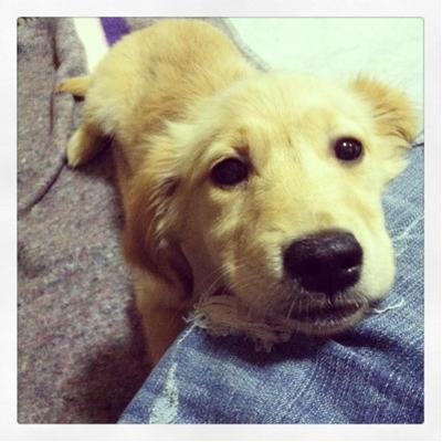 Profile Picture of Ivan Falcon (@ivanfalcon7) on Twitter