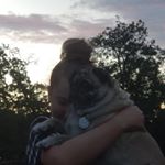 Profile Picture of Bailey Adamson (@bailey_girl25) on Instagram