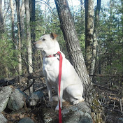 Profile Picture of Joseph Bennett (@JosephBennett-100) on Youtube