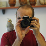 Profile Picture of Andrea Simonetti (@mallorca78) on Flickr