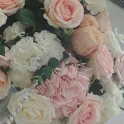 Profile Picture of Sophia Hussain (@_sophiahussain) on Twitter