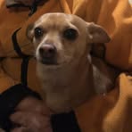 Profile Picture of Rudienkio Pavel (@rudienkio.pavel) on Facebook