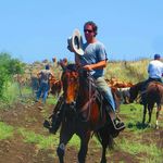 Profile Picture of amir miller (@amirmiller2697) on Instagram