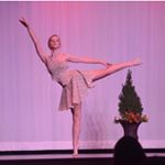 Profile Picture of Victoria Tavares (@carolinadogwoodambassador) on Instagram