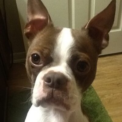 Profile Picture of Jason Mashburn (@JMashBD) on Twitter