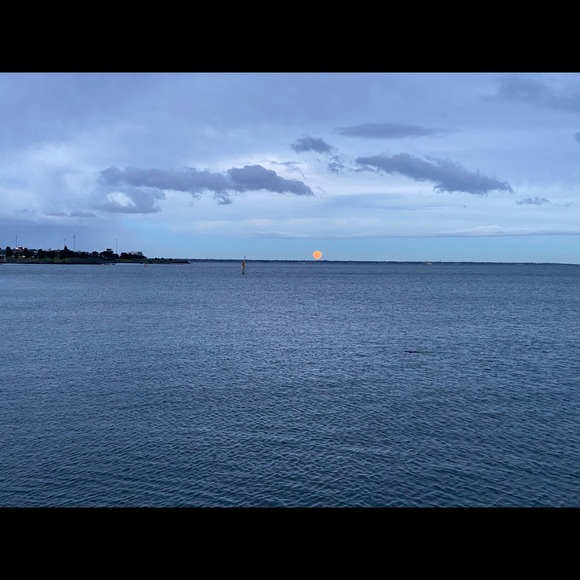 Profile Picture of Sev Erdo (@sev202) on Poshmark