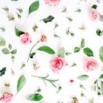 Profile Picture of Haven Lopez (@cherishlopez23) on Instagram