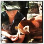 Profile Picture of Amanda Shane (Strickland) (@amandastrickland666) on Instagram