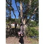 Profile Picture of Ran Chhor Rita (@Ran-Chhor-Rita) on Facebook