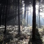 Profile Picture of Erik Kollár (@erik.kollar.940) on Instagram