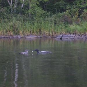 Profile Picture of Kristen Wilde (@giulianillyria) on Myspace