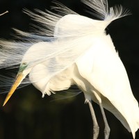 Profile Picture of Clarissa Abrantes (@clarissa-abrantes-1) on Quora