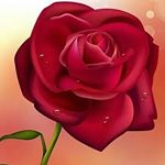 Profile Picture of Iram Castillo (@iram1471) on Instagram