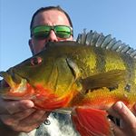 Profile Picture of Peter Narbone Jr. (@peacock_pete_on__youtube) on Instagram