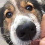 Profile Picture of 沐沐 (@haixia_zhang) on Instagram