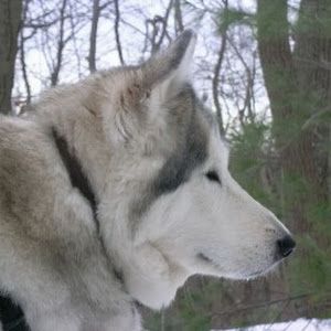 Profile Picture of David DeSario (@daviddesario8) on Tiktok