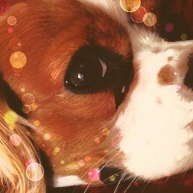 Profile Picture of Mimi V-Sahagun (@msahagun531) on Pinterest