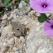 Profile Picture of Juan Christian Montes (@chistiangarcia) on Youtube