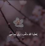 Profile Picture of Yasmin Sharaf Aldeen (@Yasmin-Sharaf-Aldeen) on Facebook