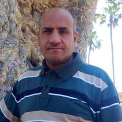 Profile Picture of Nabil Tadros (@nabiltadros) on Tiktok