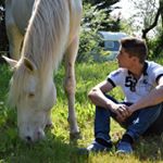 Profile Picture of Thomas Pineau (@thomas.pineau) on Instagram