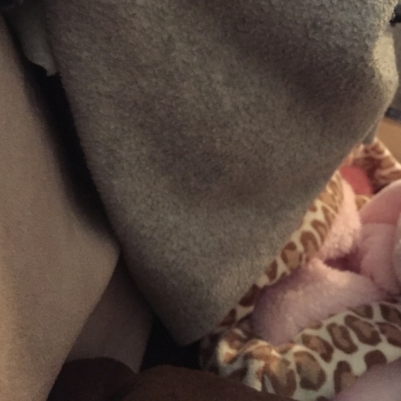 Profile Picture of Adam Olivo (@adamolivo91) on Poshmark