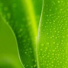 Profile Picture of Daisy Boot (@DaisyAmanda1988) on Twitter