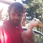 Profile Picture of Bruce The Duck (@brucetheducky) on Instagram