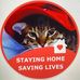Profile Picture of Bounhome Sirisavath (@Bounhome-Sirisavath) on Facebook