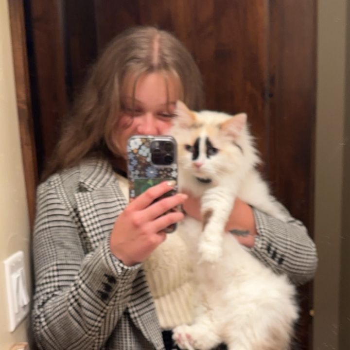 Profile Picture of bri.tuttle (@bri.tuttle) on Tiktok