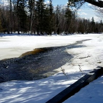 Profile Picture of David Chiasson (@staticnb) on Twitter