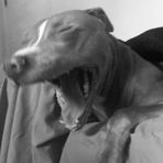 Collin D Haynie - Facebook Profile Picture of Collin D Haynie (@collin.haynie) on Facebook