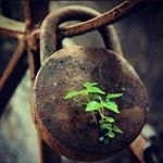 Profile Picture of Sama khavand (@samakhavand) on Instagram