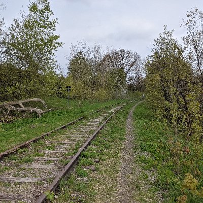 Profile Picture of Sean Gagnon (@GagnonSean) on Twitter